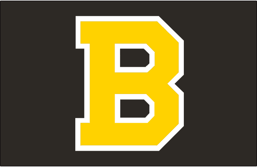 Boston Bruins 1948-1955 Jersey Logo t shirts iron on transfers